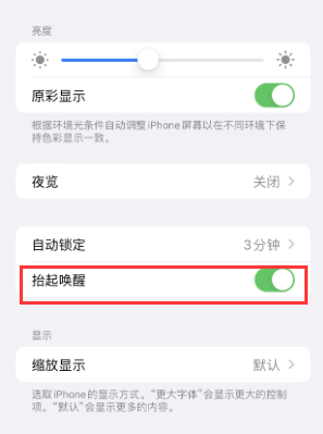 赞皇苹果授权维修站分享iPhone轻点无法唤醒怎么办