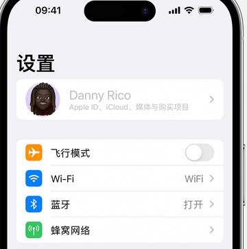 赞皇appleID维修服务iPhone设置中Apple ID显示为灰色无法使用 