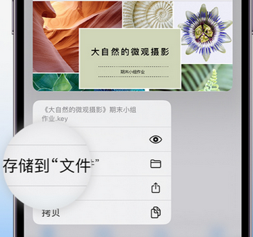 赞皇apple维修中心分享iPhone文件应用中存储和找到下载文件