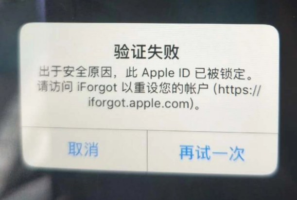 赞皇iPhone维修分享iPhone上正常登录或使用AppleID怎么办 