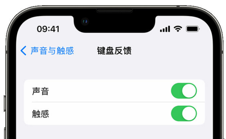 赞皇苹果手机维修分享iPhone 14触感键盘使用方法 