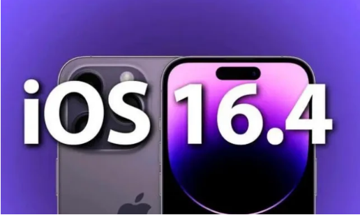 赞皇苹果14维修分享：iPhone14可以升级iOS16.4beta2吗？ 