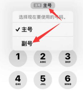 赞皇苹果14维修店分享iPhone 14 Pro Max使用副卡打电话的方法 