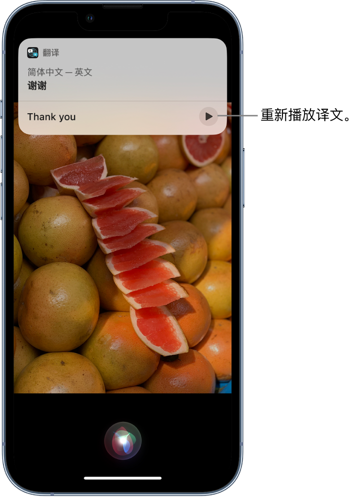 赞皇苹果14维修分享 iPhone 14 机型中使用 Siri：了解 Siri 能帮你做什么 