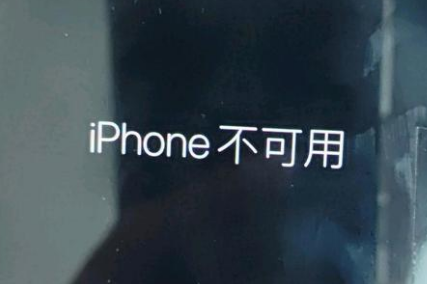 赞皇苹果服务网点分享锁屏界面显示“iPhone 不可用”如何解决 