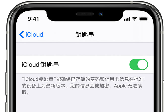 赞皇苹果手机维修分享在 iPhone 上开启 iCloud 钥匙串之后会储存哪些信息 