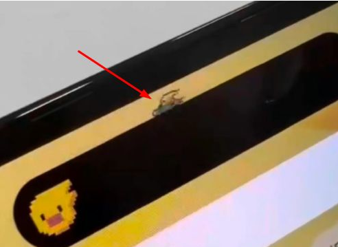 赞皇苹果14维修分享iPhone 14 Pro Max灵动岛怎么养宠物 
