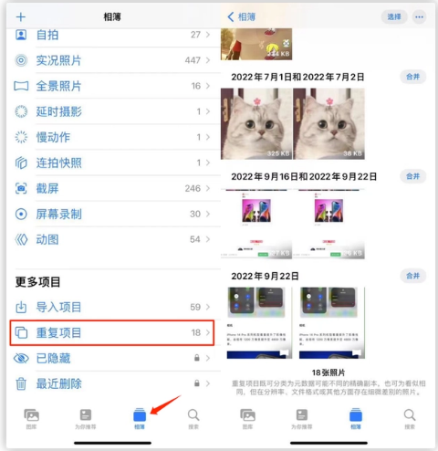 赞皇苹果手机维修分享iOS 16 中相册重复项目功能使用方法 