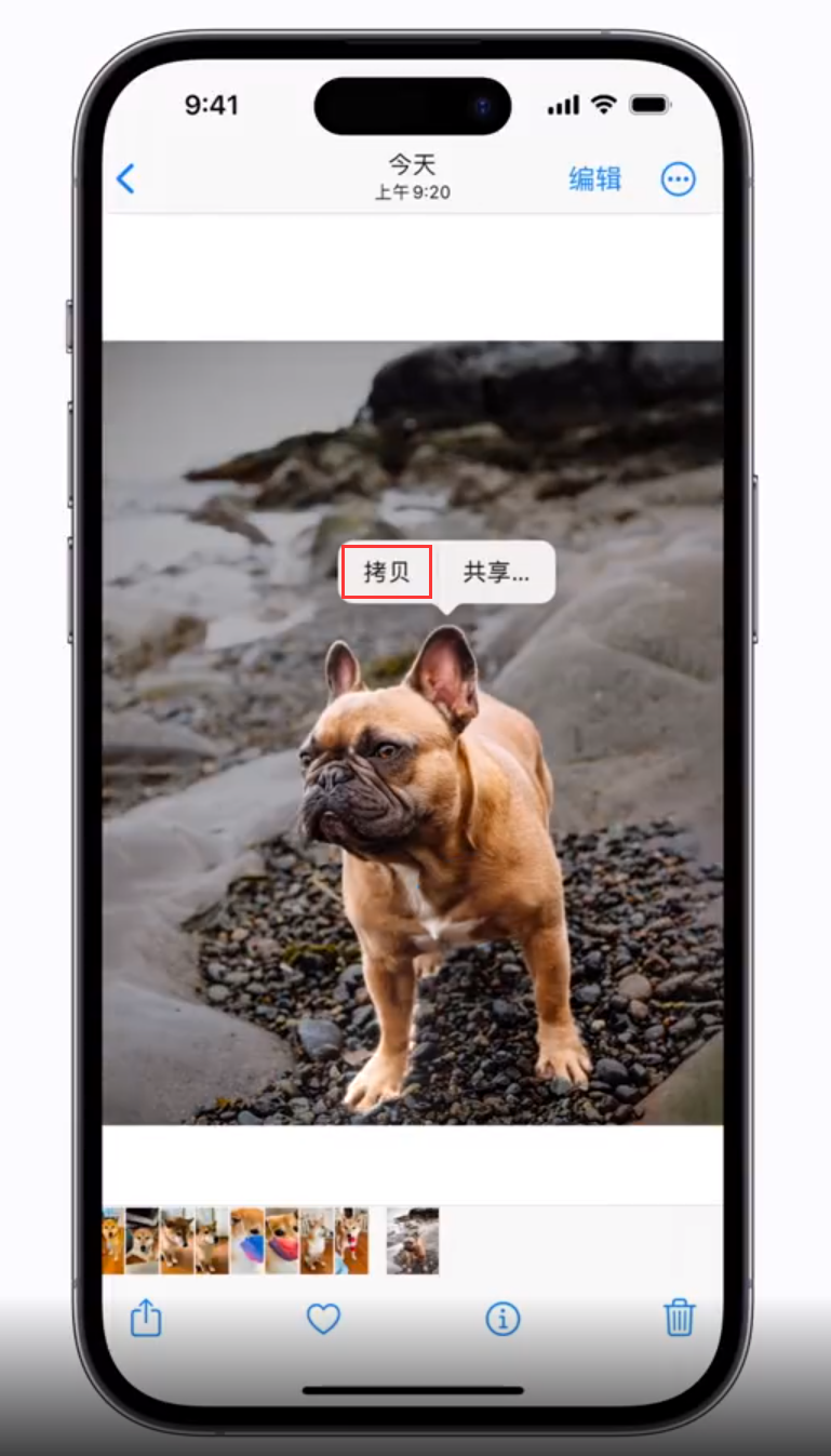赞皇苹果手机维修分享 iOS 16 自带一键抠图功能 