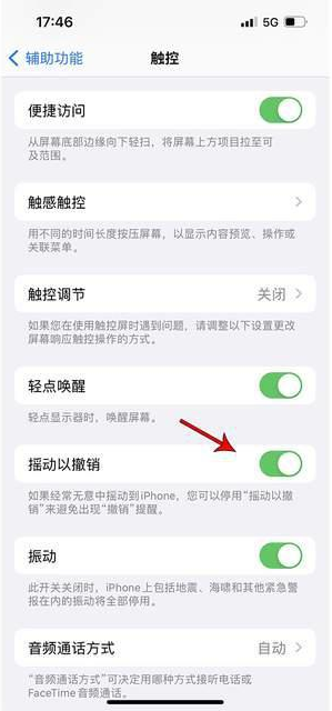 赞皇苹果手机维修分享iPhone手机如何设置摇一摇删除文字 