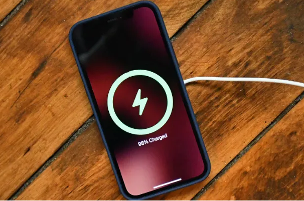 赞皇苹果手机维修分享iPhone如何正确充电 