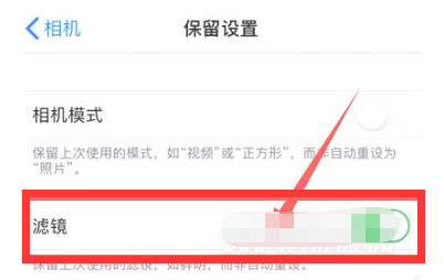 赞皇苹果13维修分享iPhone13拍照有绿点是怎么回事 