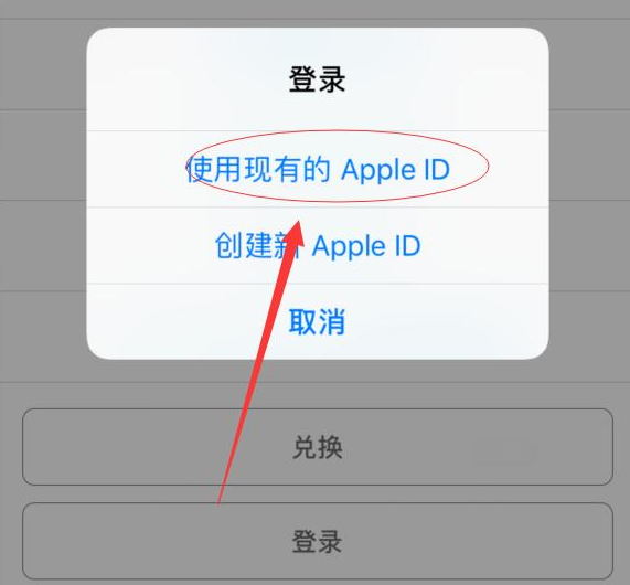 赞皇苹果手机维修分享两台iPhone设备可以同时登录一个Apple ID吗 