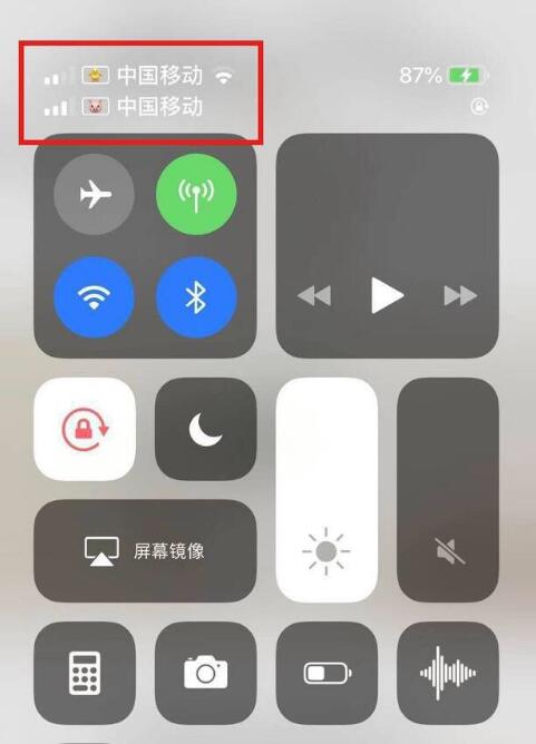 赞皇苹果手机维修分享为 iPhone 12 双卡设置标签 