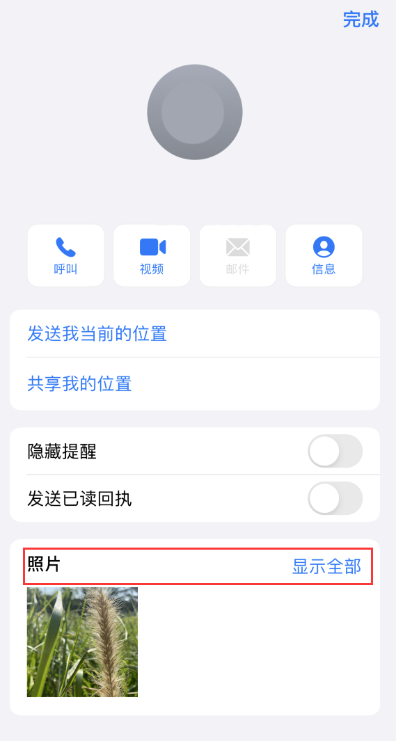 赞皇苹果手机维修分享如何快速查找 iMessage 信息中的图片等附件 